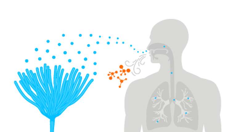 Breath Analysis: A Game-Changer in Early Invasive Aspergillosis Detection? 