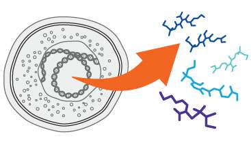 Why should we care about the biology behind exhaled VOCs?