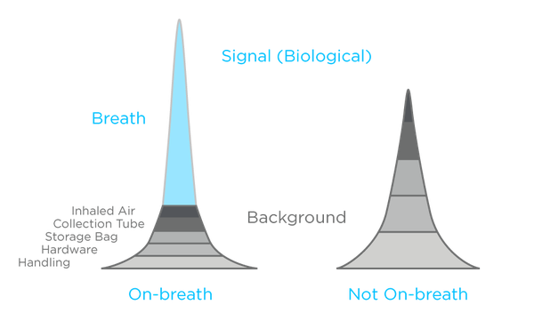 An illustration of the contribution contamination makes to breath signals