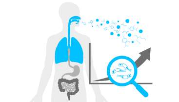 Simple Breath Tests can Show Improvements in our Gut Microbiome and Wellness