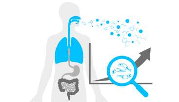 Breath can Show Improvements in our Gut Microbiome and Wellness