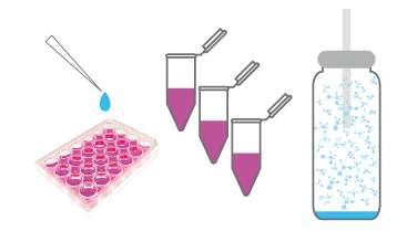 In vitro analysis could help you identify prospective VOC biomarkers