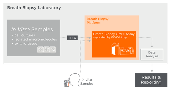 In Vitro flowchart in the Breath Biopsy Laboratory