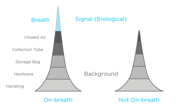 An illustration of the contribution contamination makes to breath signals