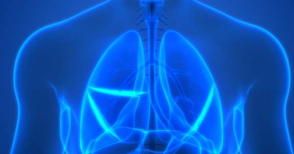 Lung scan image