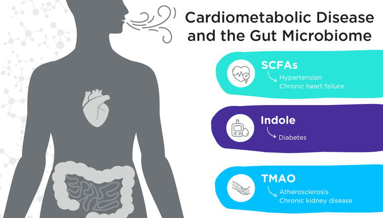 Thumbnail for CVMD Microbiome Blog