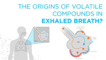 The third intro blog: "The origins of volatile compounds in exhaled breath".