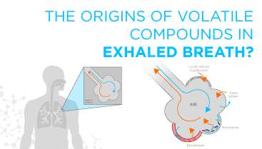 The origins of volatile compounds in exhaled breath