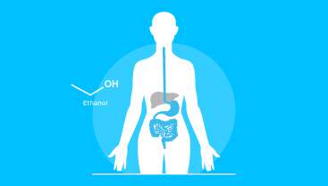 Gut Microbiome Phenotyping Using Dynamic Breath Analysis