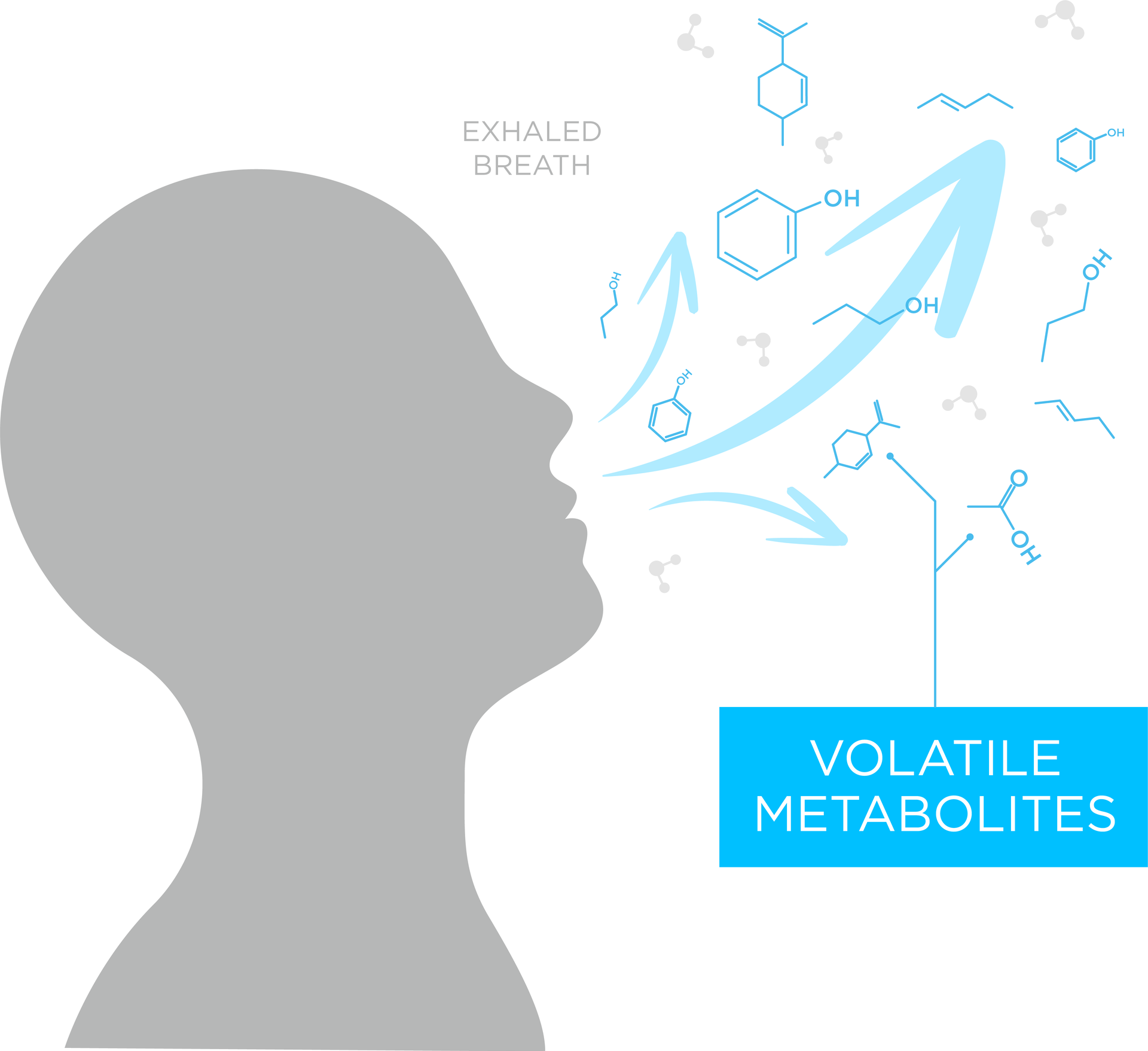A graphic showing someone exhaling volatile metabolites into the air