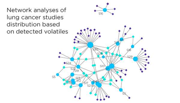 Network analyses of  lung cancer