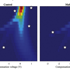 Two graphs showing control and cancer patients from Niemi et al paper