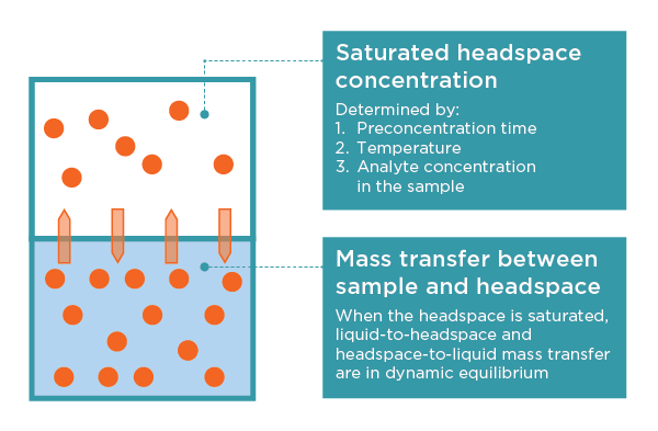 Saturated headspace concentration and mass transfer between sample and headspace explained