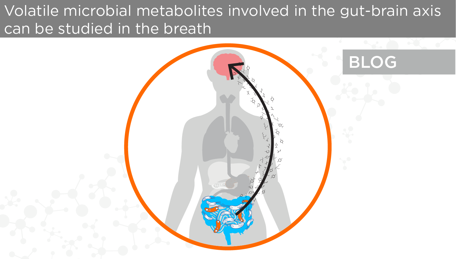 Volatile microbial metabolites involved in the gut-brain axis can be studied in the breath