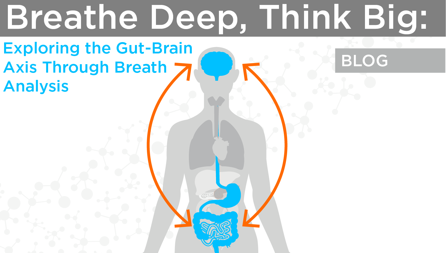 A blog on the gut-brain axis and breath analysis