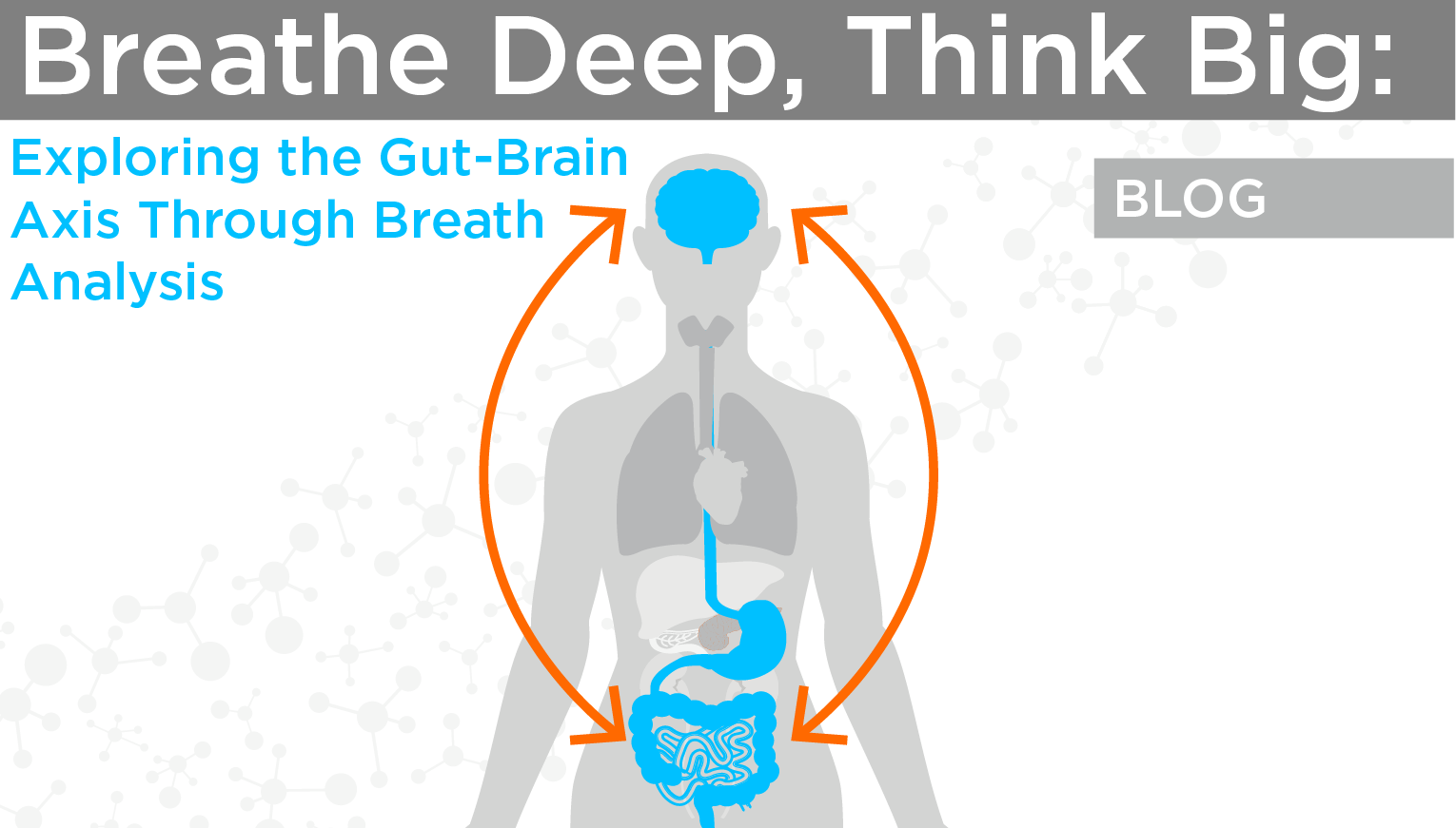 Breathe Deep, Think Big: Exploring the Gut-Brain Axis Through Breath Analysis