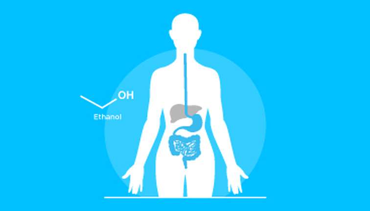 Gut Microbiome Phenotyping Using Dynamic Breath Analysis 