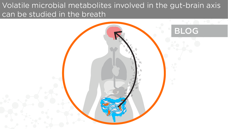 A blog on the microbiota-gut-brain axis