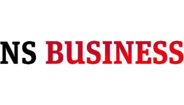 NS Business Logo