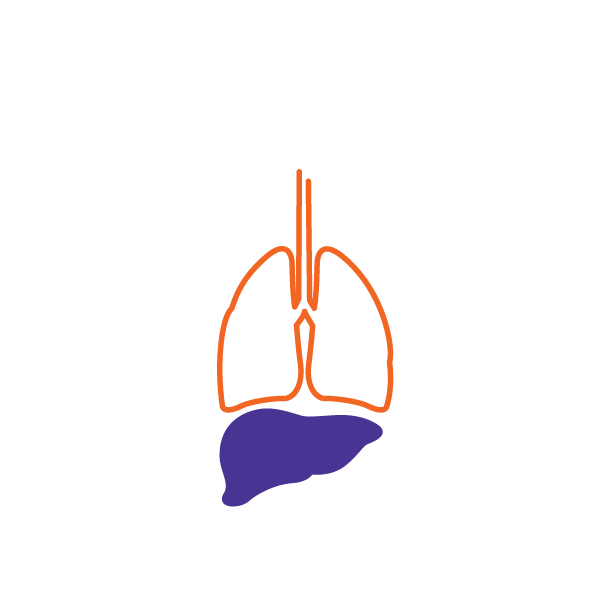 Molecule man drawing with purple liver