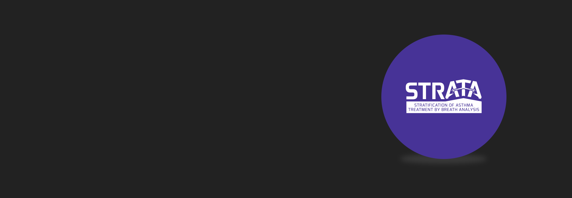 STRATA logo header