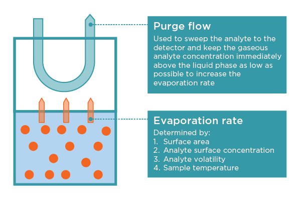 Dynamic headspace sampling explained: purge flow and evaporation rate