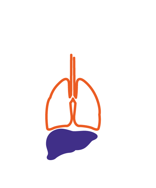 Image of liver disease for landing page CTA