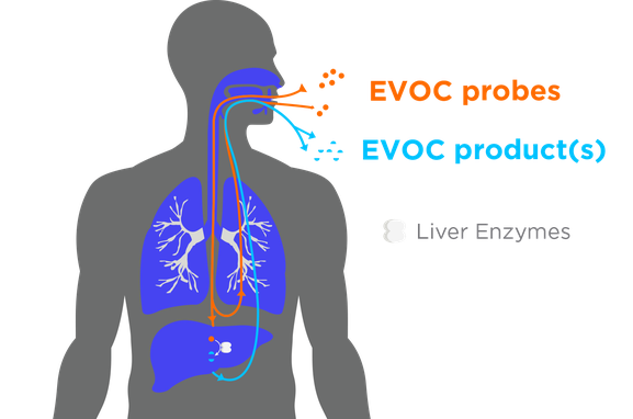 EVOC Man 2 EVOC Man 2