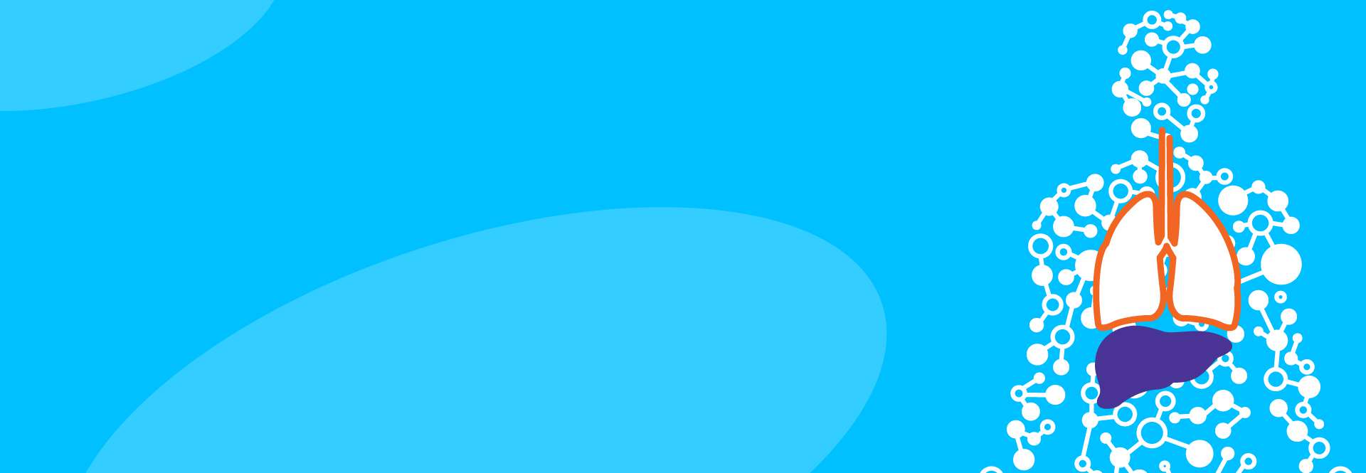 Liver Graphic