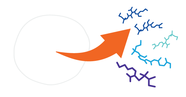 Cells and VOCs