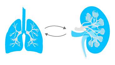 Examining candidate breath biomarkers for kidney disease