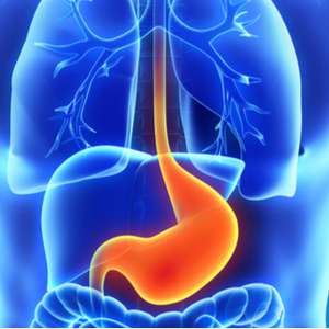Esophageal-Gastric mage
