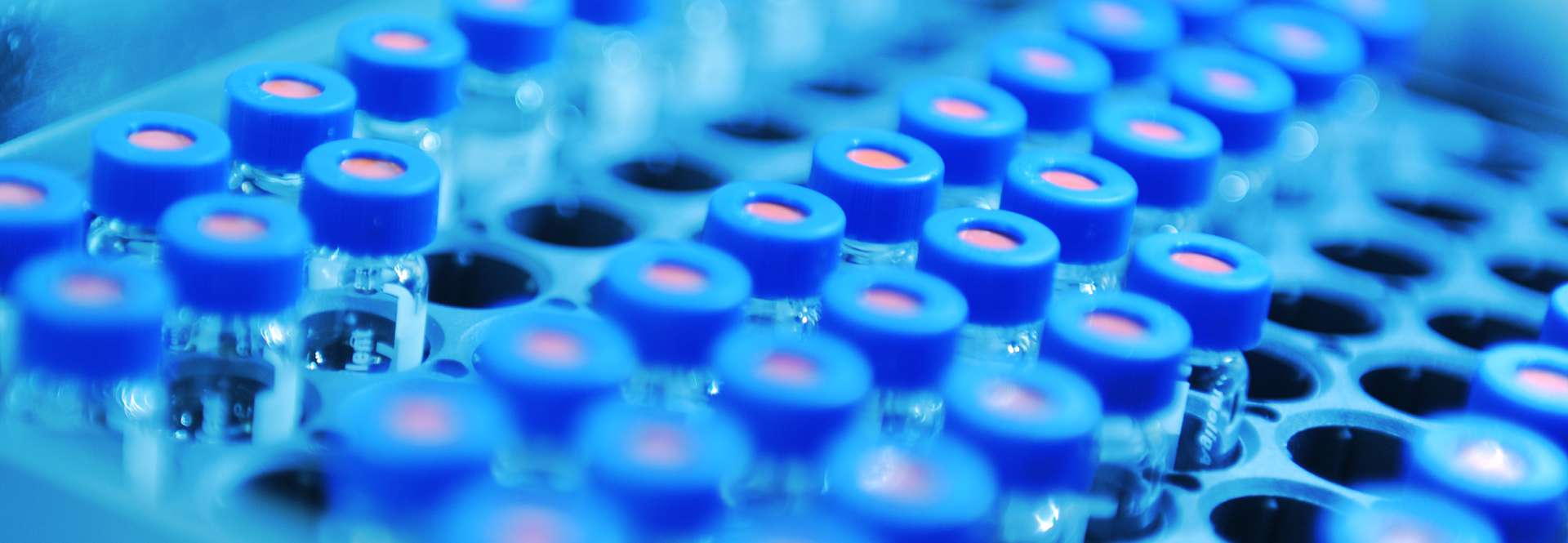 Test tubes in a laboratory