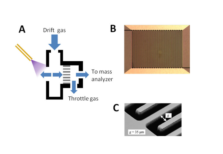 FAIMS proteomics review