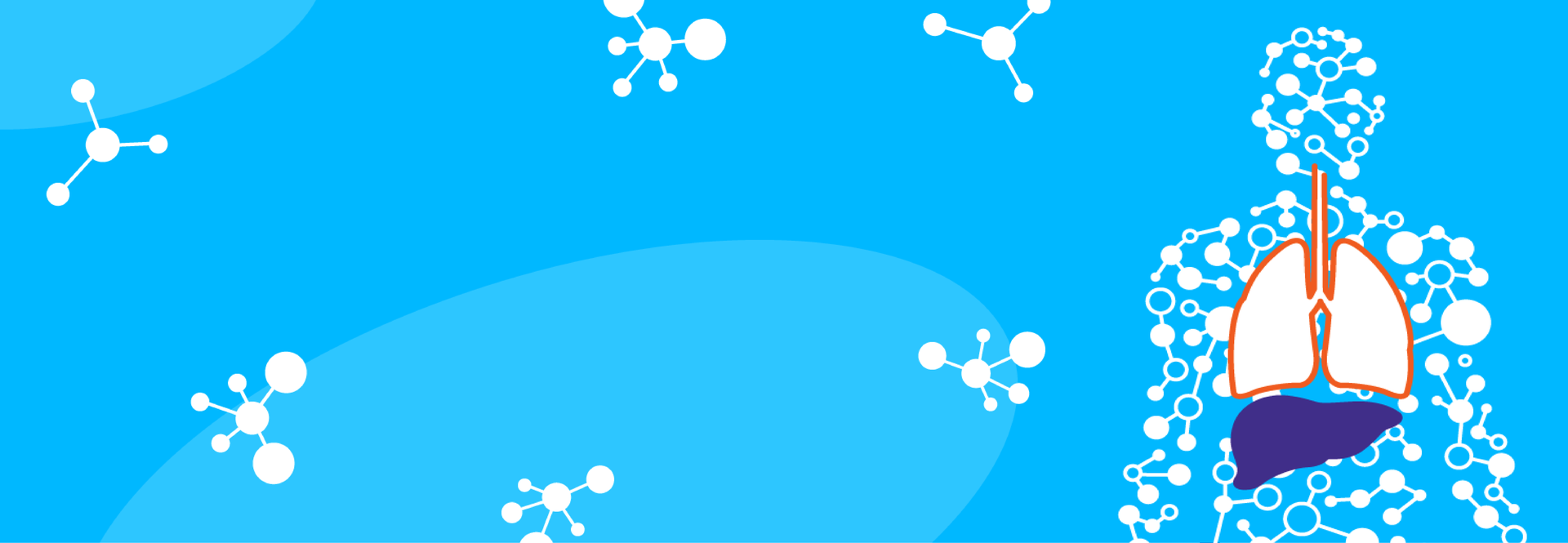 Liver Graphic