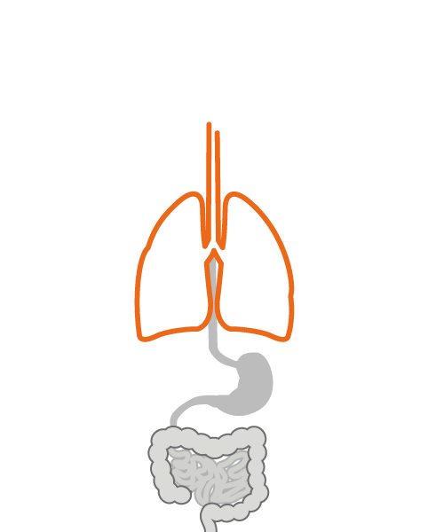 Graphic for gastrointestinal diseases landing page CTA