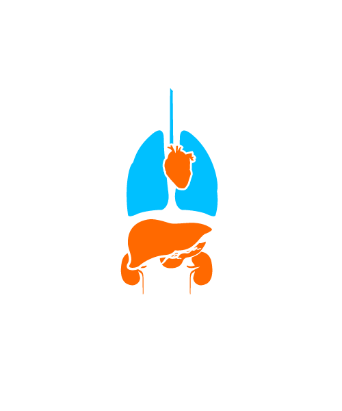 Image of liver disease for landing page CTA