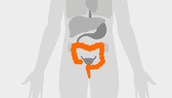 Human body with colon highlighted