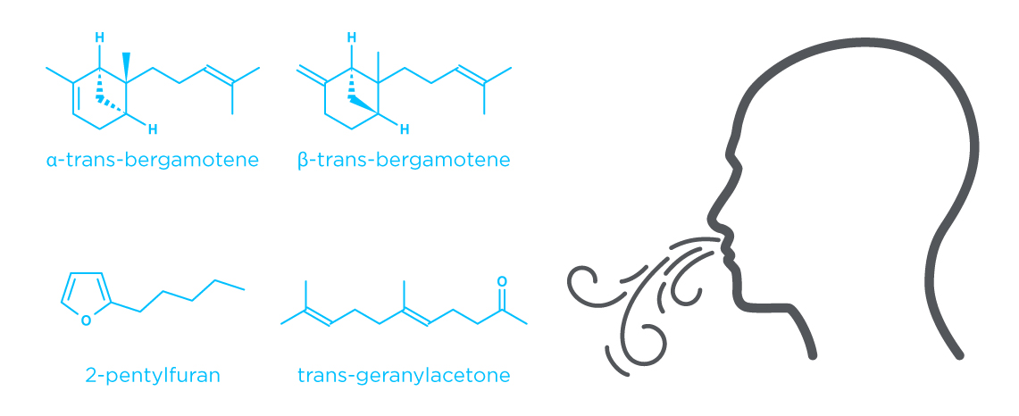 Aspergillosis Breath Metabolites