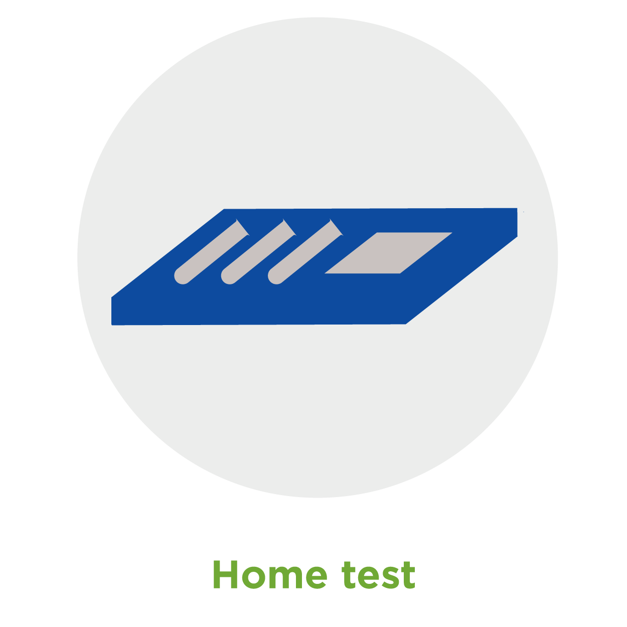 Home test icon