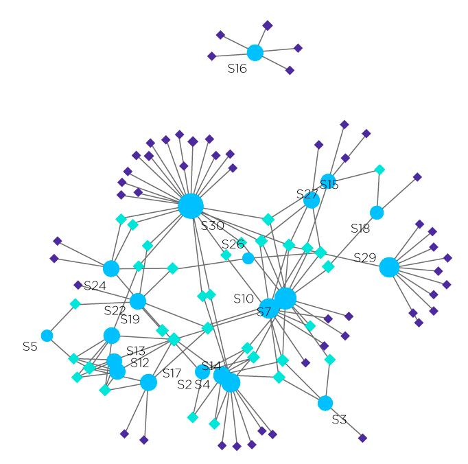 Network analyses of lung cancer