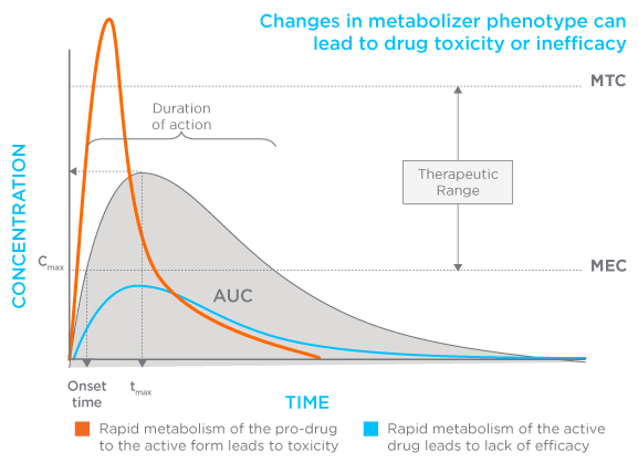Drug Metabolism Graph Drug Metabolism Graph