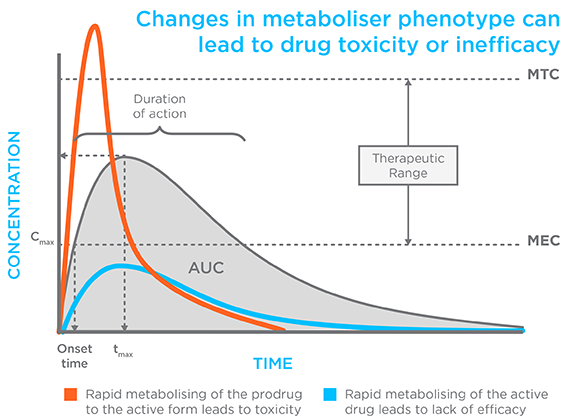 Drug Metabolism Graph Drug Metabolism Graph