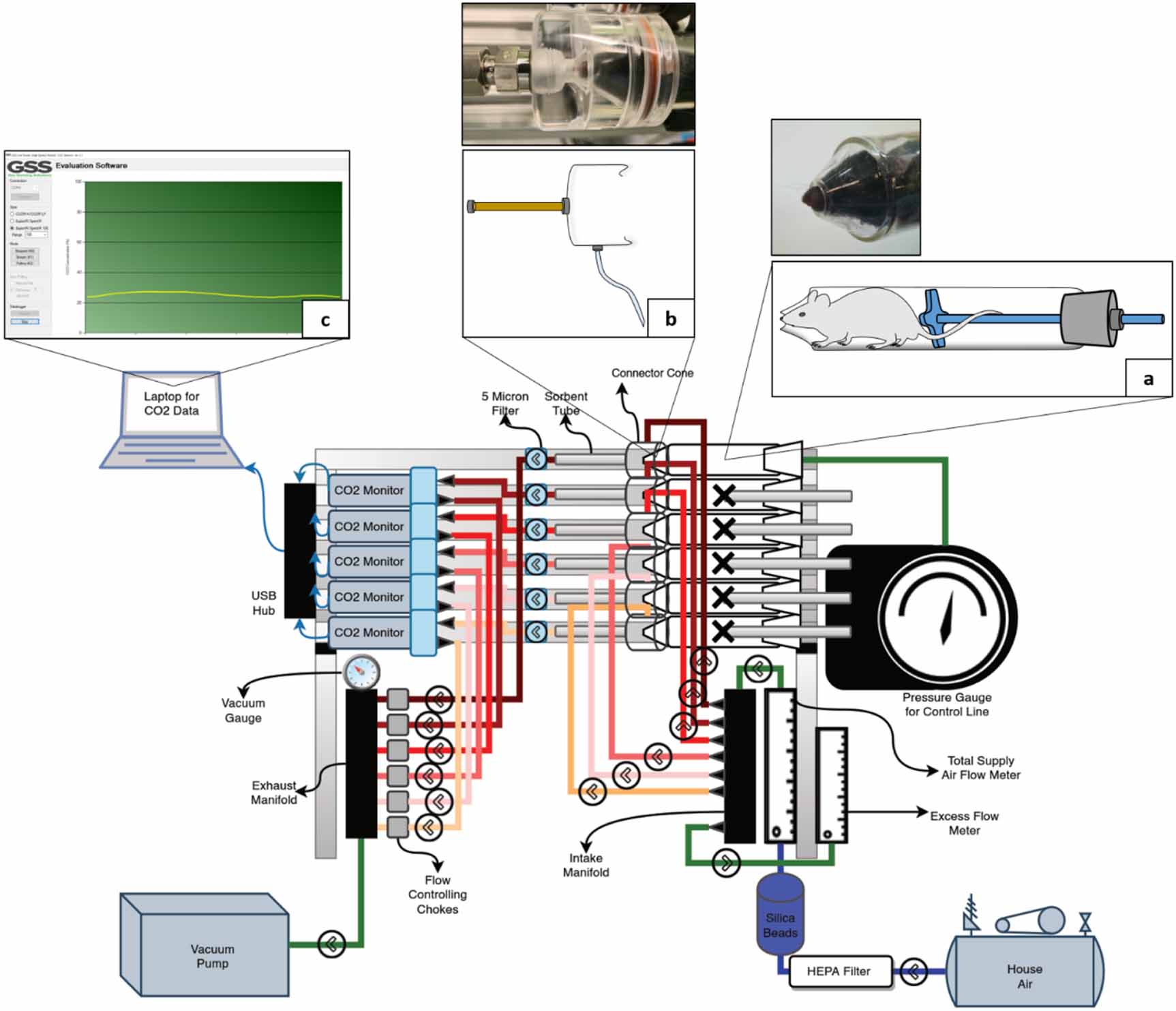 Fig 6 Hintzen et al 2022