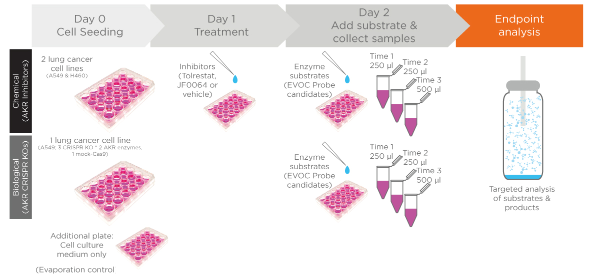 Figure 1 in vitro analysis blog