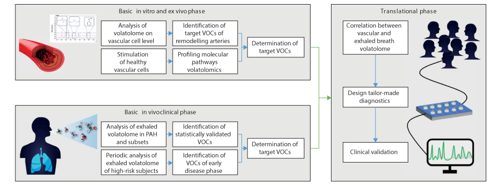 Schematic diagram PAH