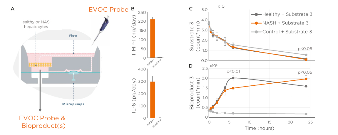 in vitro liver results