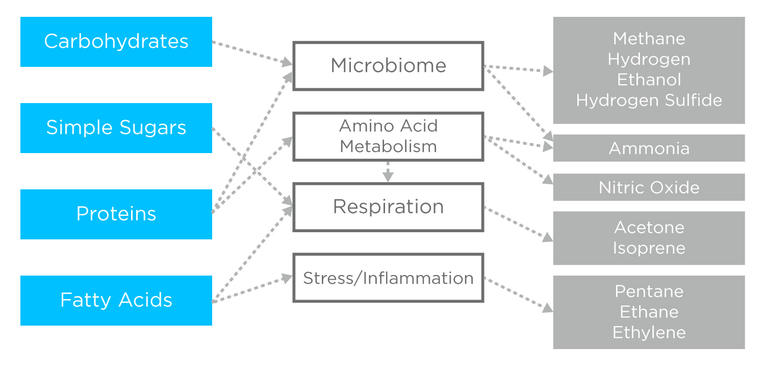 GI VOC processes