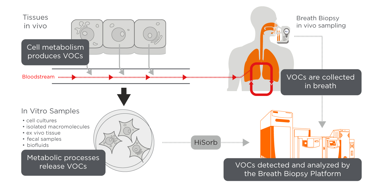 in vitro pipeline
