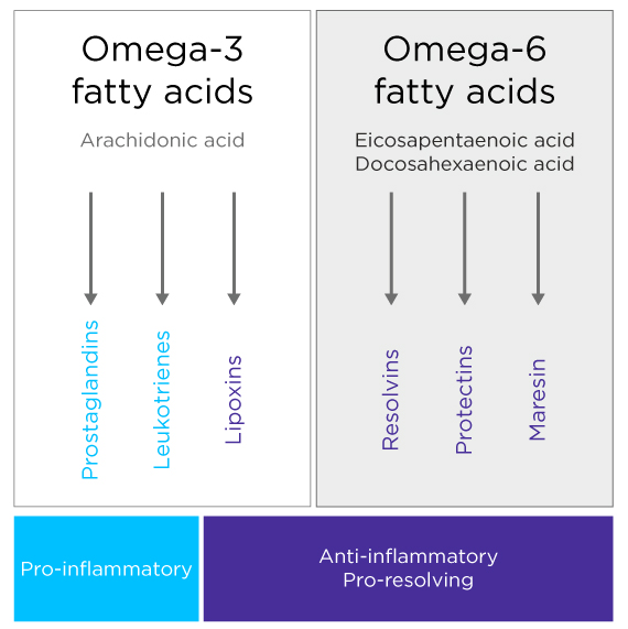 Fatty acid metabolism and inflammation
